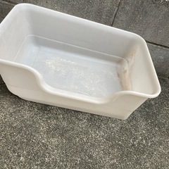 猫トイレの画像