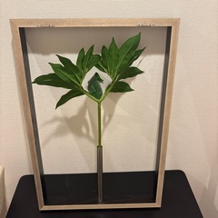 人工観葉植物　壁掛けの画像