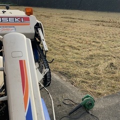 ２０２５年コシヒカリ30キロ　Ｔの画像