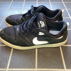 NIKE SB アリウープの画像