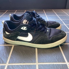 NIKE SB アリウープの画像