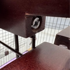 トイレ躾用２ルームケージ(オマケ多数)の画像