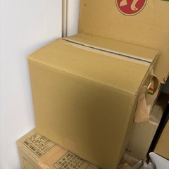 ダンボールの画像