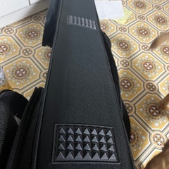 SKB セミハードケース　ギグバッグの画像