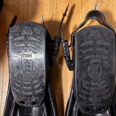 フィンとバックの画像