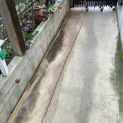刺し網の画像