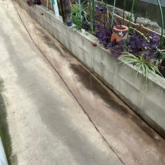 刺し網の画像