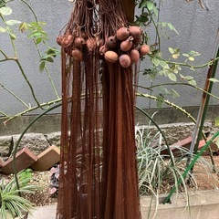 刺し網の画像