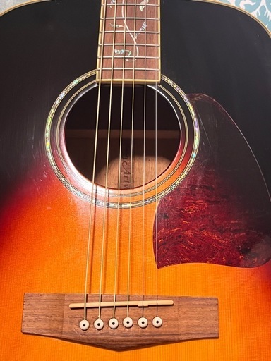 Ibanezアコースティックギター 