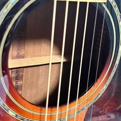 Ibanezアコースティックギター の画像