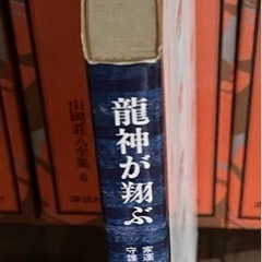 龍神が翔ぶ 桐山靖雄の画像