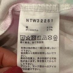 THE NORTH FACE レディースTシャツの画像