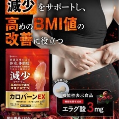 ⭐️体重・体脂肪・ウエスト周囲径・BMI値⭐️カロバーンEX／30日分／日本製⭐️新品未開封の画像
