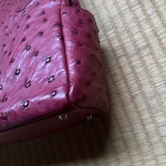 オーストリッチバッグの画像