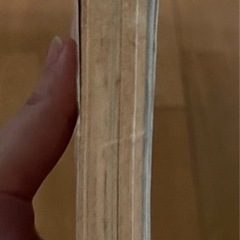 将棋の世界の画像