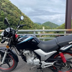 HONDA　CBF 125の画像