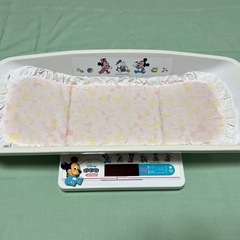 ベビースケールの画像