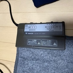 ホットカーペットお譲りしますの画像