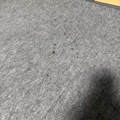 ホットカーペットお譲りしますの画像