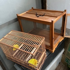 鳥かごの画像