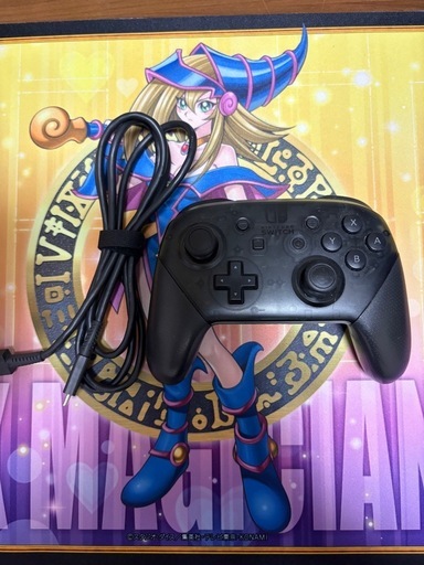 NINTENDO SWITCH HAD-S-KA