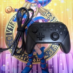 NINTENDO SWITCH HAD-S-KAの画像