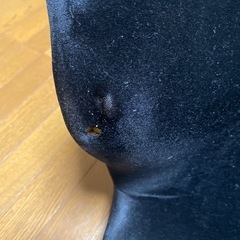 スタイルイスの画像