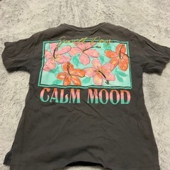ZARA Tシャツ　サイズ140センチの画像