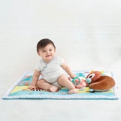 ベビージム　おもちゃの画像