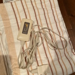 【終了】アイリスオーヤマ  電気かけしき毛布　2枚セットの画像