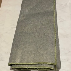 【ニトリ】カーペット200×290の画像
