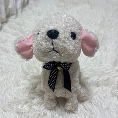ココさかだちしての画像