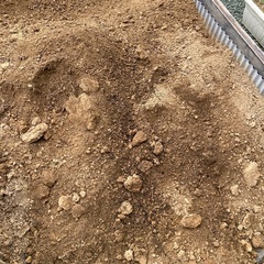 庭土⭐︎畑の土⭐︎家庭菜園やガーデニングに！の画像