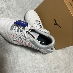 ミズノ　安全靴の画像