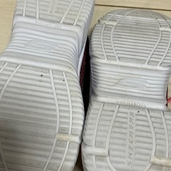 スケッチャーズ靴 19センチの画像