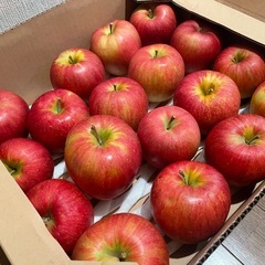 シナノスイート長野県安曇野産林檎6.4kg18個の画像