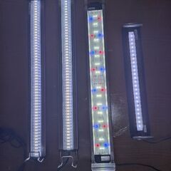 水槽用品お譲ります。の画像