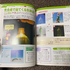 小学生の自由研究の画像