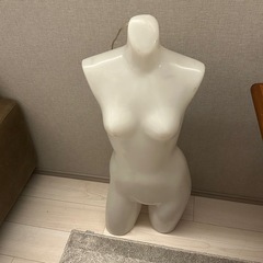 アンティーク調 電飾トルソーの画像