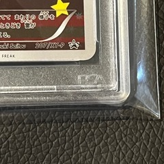 ポンチョを着たピカチュウ メガリザードンの画像