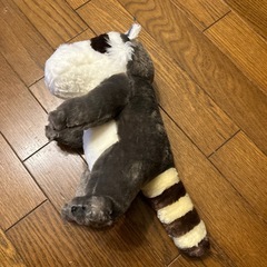 シャクレあらいぐまの画像