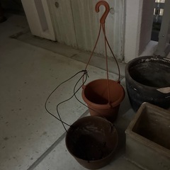 ガーデニング　植え替え　鉢　　の画像