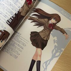 TYPE-MOON character material 奈須きのこ 武内崇の画像