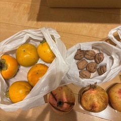 かぼちゃ、くり、くるみ、柿、みかん、ザクロ、ゴーヤのセットの画像