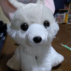 ぬいぐるみお譲りします⚠受け渡し決まりましたの画像