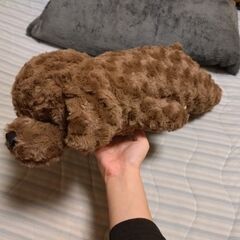 ぬいぐるみお譲りします⚠受け渡し決まりましたの画像