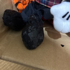 ディズニーストア　プーさんミッキーなど　ぬいぐるみまとめまとめての画像