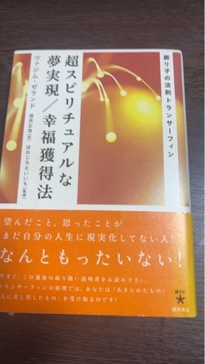 リアリティ・トランサーフィン