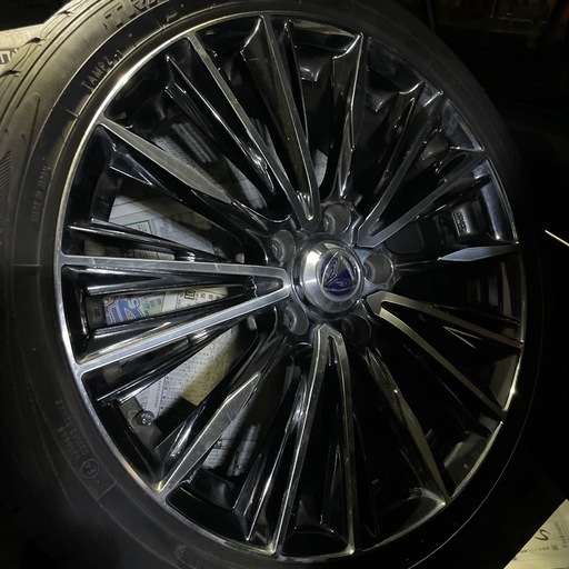 レイズベルサス