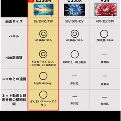 テレビ65インチ　REGZA 液晶壊れ　2024年か25年製？の画像